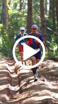 BIB:  <button type="button" onclick="openModal(26569506)" class="btn btn-primary btn-sm float-right" data-toggle="modal" data-target=".modal-high-quality">
                <i class="fa fa-download"></i> Download
                </button>